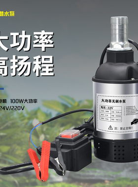 直流DC无刷潜水泵无人机加药泵12V24V220v电瓶泵农用水井抽a0044