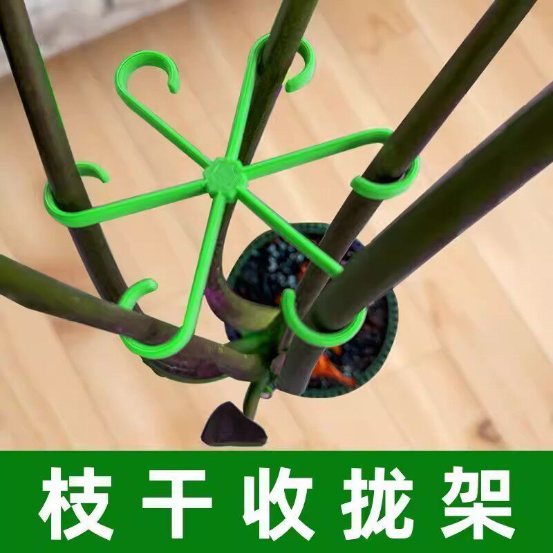 龟背竹支撑杆花支撑架枝干收拢架植物防倒伏支架绿植固定神器花架