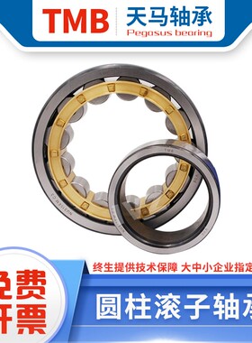浙江TMB天马轴承 N NUP NF 1004 1005 1006 1007 1008 1009 EM