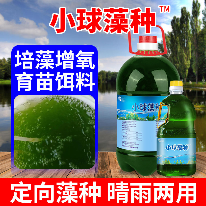 浓缩小球藻藻种水产养殖肥水调水培藻增氧鱼虾蟹池塘硅藻类培养基,宠物/宠物食品及用品,鱼缸水质稳定剂,淘宝优惠券,粉丝福利购,淘宝优惠卷