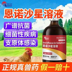 兽药恩诺沙星溶液鸡禽药抗菌支原体感染细菌性疾病衣原体沙门氏菌
