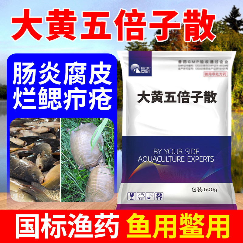 大黄五倍子散水产养殖用乌龟鳖鱼塘鱼池肠炎腐皮烂鳃烂肢疖疮鱼药