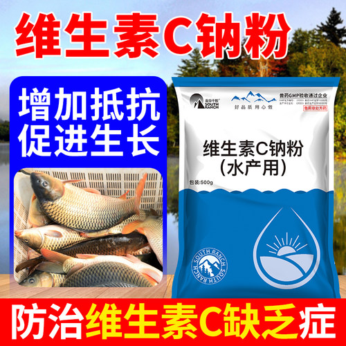 维生素钠粉钓场运输伤口愈合
