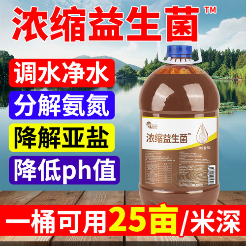 浓缩益生菌水产养殖专用肥水调水