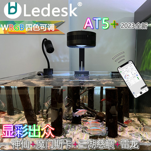 乐迪三湖神仙雷龙增艳灯四色可调