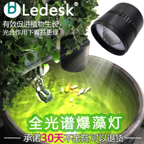 金鱼缸兰寿Led爆藻灯瓦缸出苔灯