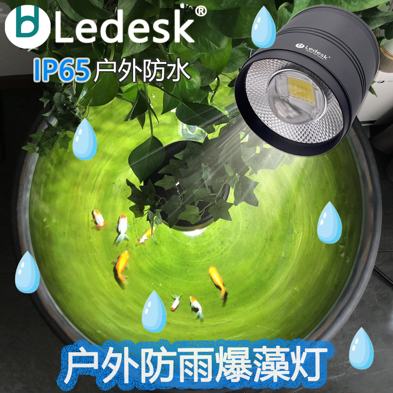 乐迪金鱼锦鲤鱼池爆苔灯户外防雨