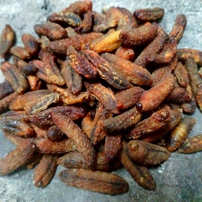 纯干马蜂蛹瓦片焙干免费打粉野生虎头蜂干石锅烤干树蜂蛹200克