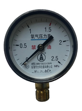 氧气压力表YO60可检测