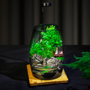 石上清泉流水款养鱼缸真植物苔藓微景观生态瓶办公室成品室内送礼