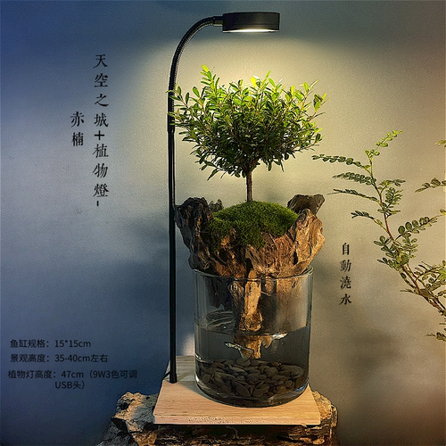 微景缸苔藓养鱼龟水陆缸赤楠缸办公室客厅盆栽礼品植物桌面水族缸