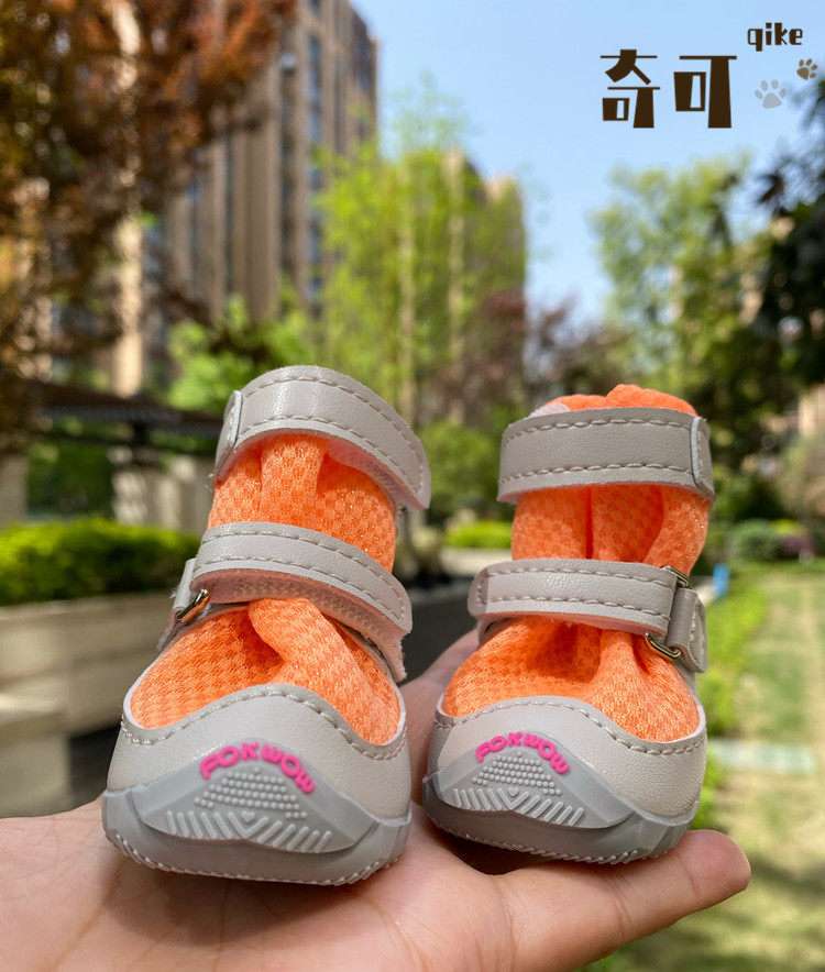 djj奇可球鞋fokwow脚底烫伤狗狗
