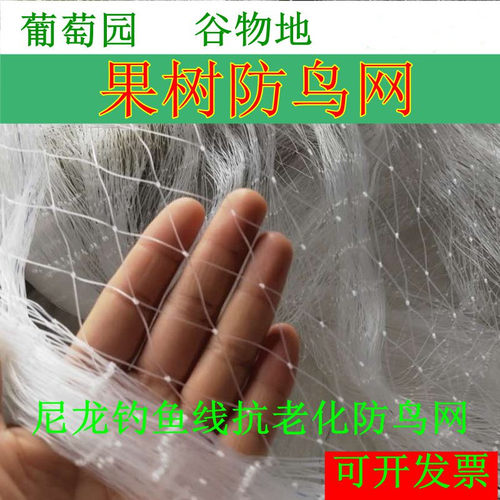 尼龙网果园果树鱼塘网防鸟网耐用