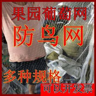 果园树防鸟尼龙米樱桃树网罩鱼塘