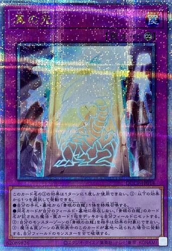 游戏王 WPP2/QCCP/SD47 真正之光 N/UR/UTR/SER/QCSER 日文 日版