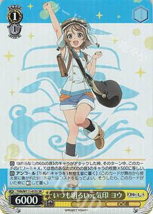 镜中晖光 幻日夜羽 いつも明るい元 気印 ヨウ YHN