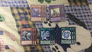 [苍之神话]游戏王 908/DP20/1107 青眼白龙/青色眼睛套 日文/简中