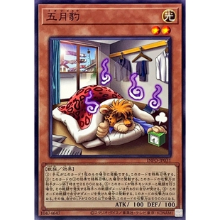 [苍之神话]游戏王 1205 INFO 五月豹 NR 日文 日版