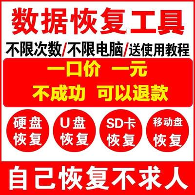 电脑移动硬盘数据恢复u盘内存sd卡维修服务照片视频文件软件修复