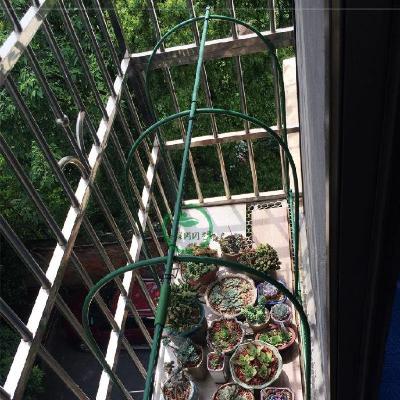 养殖框架铁管安装遮阳挡绿植阳台新款适合保湿养殖棚骨架兰花保温|ruв категории доставка цветов/цветок моделирования/растения садоводства, садовых принадлежностей, других садовых принадлежностей - от Buy2taobao.com для оказания профессиональной услуги покупки агента Taobao