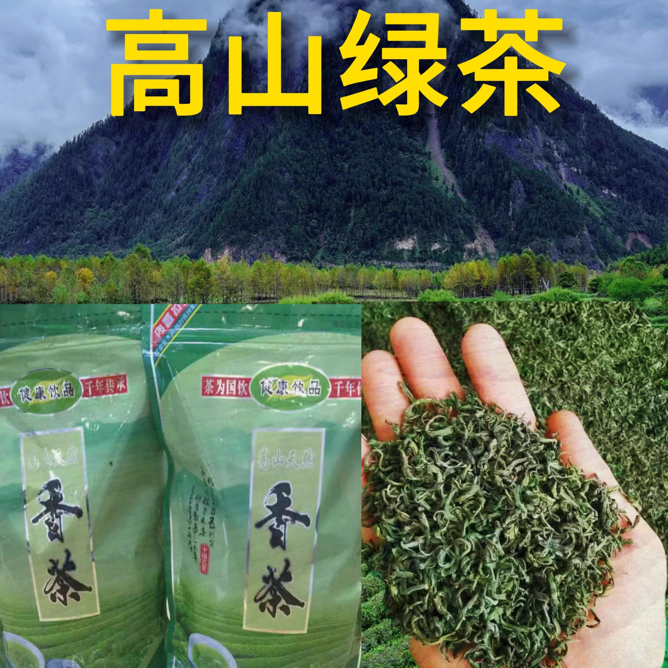 2024特价新春茶浙江云雾绿茶高山...