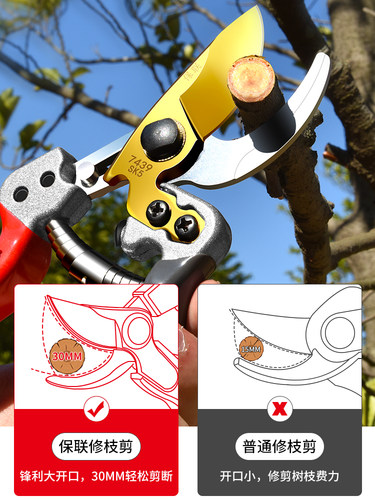园艺剪枝剪刀修枝剪粗枝剪园林花艺剪子修剪树枝专用省力剪切工具