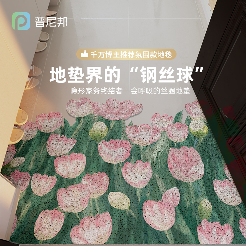 进门地垫入户门垫丝圈进门脚垫