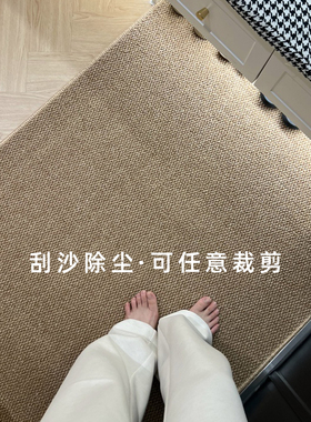 仿剑麻入户门地垫地毯进门玄关门外地垫入户蹭土门垫脚垫可裁剪