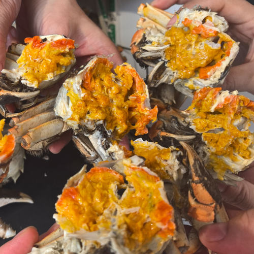 【十三年老店，蟹自家养的 】鲜活蟹大闸蟹母蟹2.5两螃蟹
