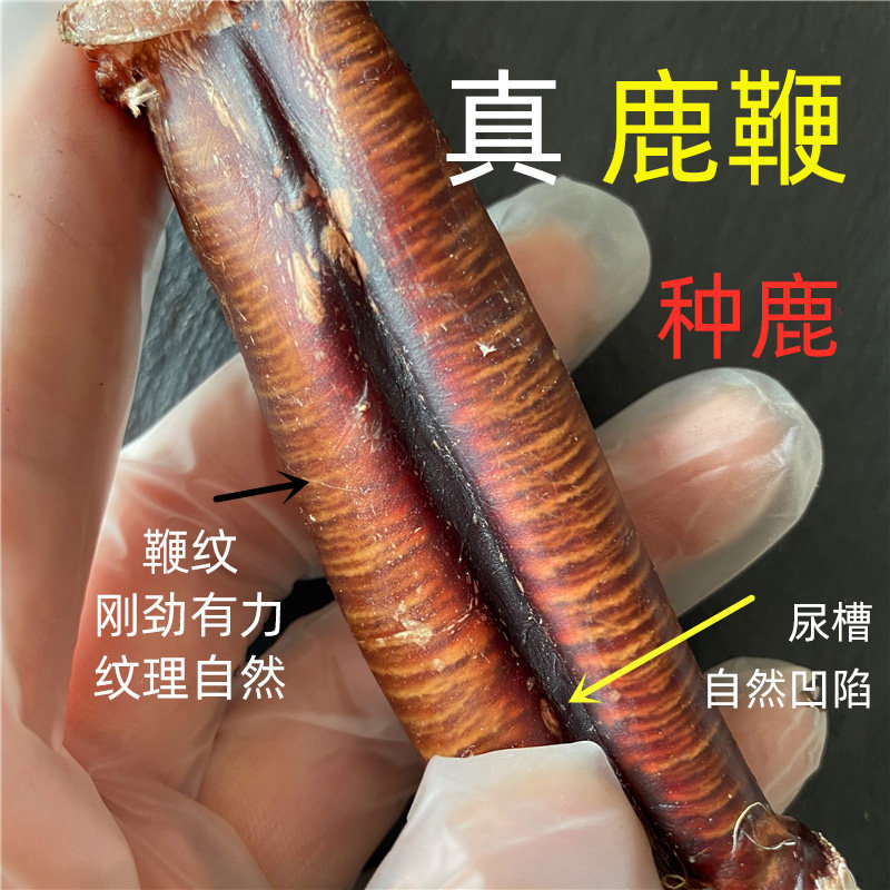 鹿灵子吉林鹿鞭干整根整枝鹿鞭干鹿茸新鲜正品男用人参泡酒料男性在类目 传统滋补营养品, 鹿茸, 其它鹿类滋补品中 - 来自Buy2taobao.com提供专业的淘宝代购服务