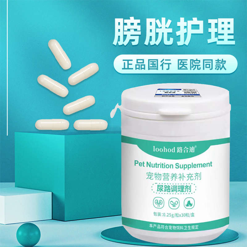 国行猫咪膀胱炎尿频尿血