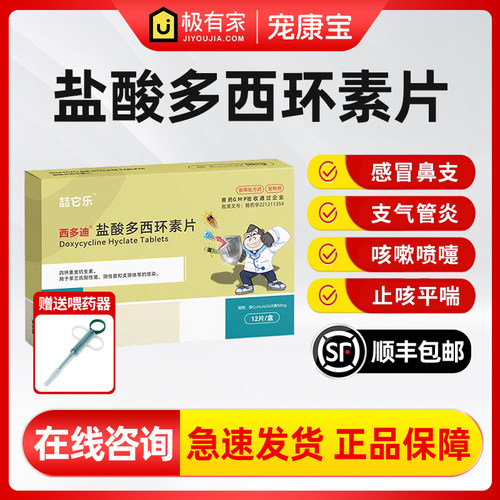 猫咪感冒药幼猫呼吸道治疗药