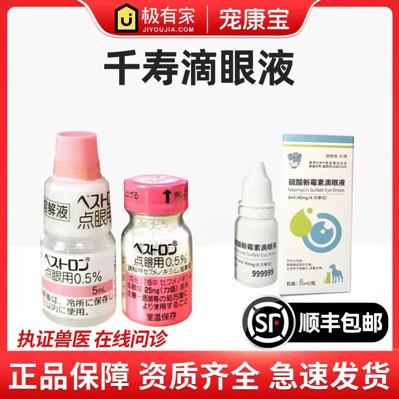 日本千寿粉贝斯特龙滴眼液图片