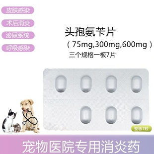 宠物犬猫用抗生素头孢氨苄皮肤病脓皮症细菌感染消炎乐利鲜宠立维