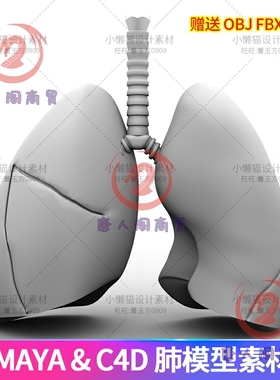 maya肺模型素材c4d人物肺模型3d肺模型obj fbx stl设计素材-06466