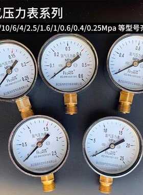 铂唯Y-60氩气压力表减压器Ar表头（0.25/0.6/1.6/2.5/25）MPa上海