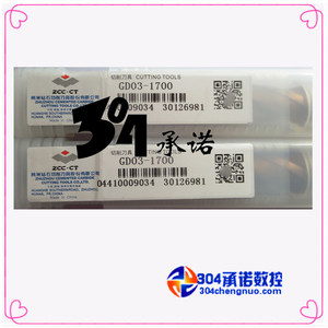 日本销售 质量保证 原装株洲钻石数控立铣刀钻头 GD03-1700 现