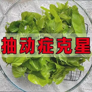 抽动症儿童泡脚包治小儿多动症眨眼注意力不集中专用