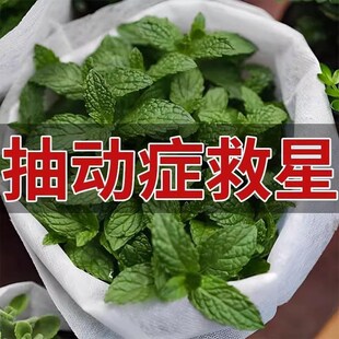 抽动症儿童泡脚包治小儿多动症眨眼注意力不集中专用