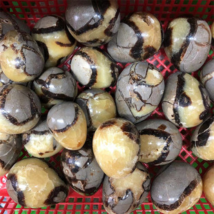 天然龟背石鸡蛋摆件龟纹石原石把玩批发原矿标本家居工艺品摆件