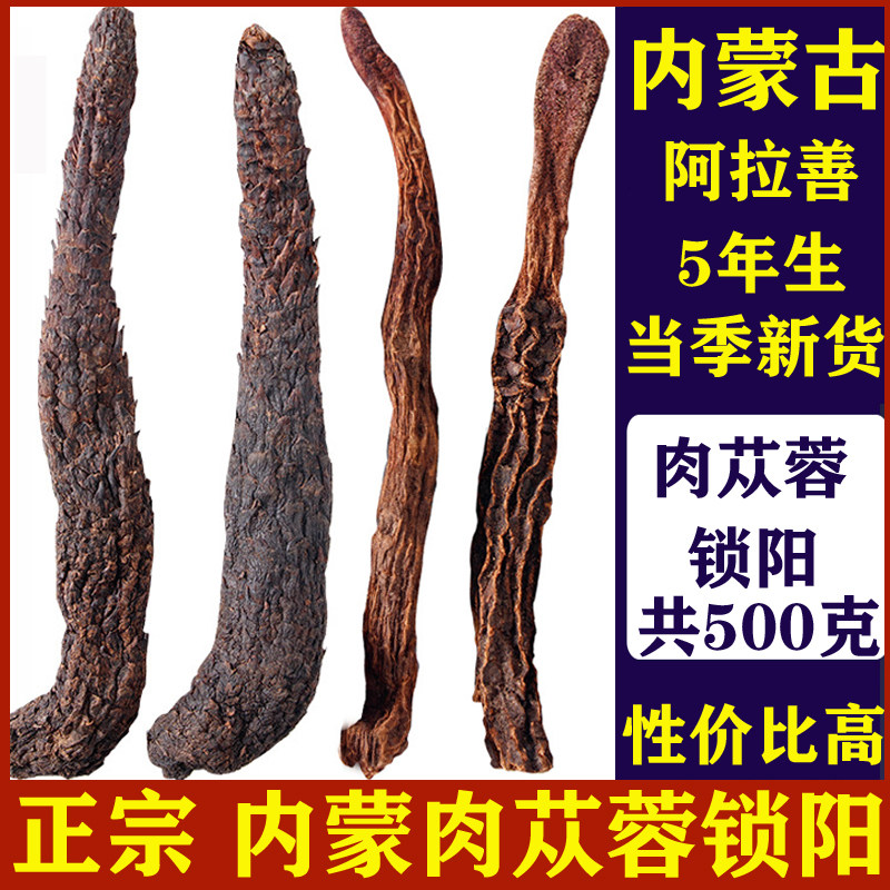 内蒙古肉苁蓉阿拉善油苁蓉正品金锁阳 荒漠肉苁蓉