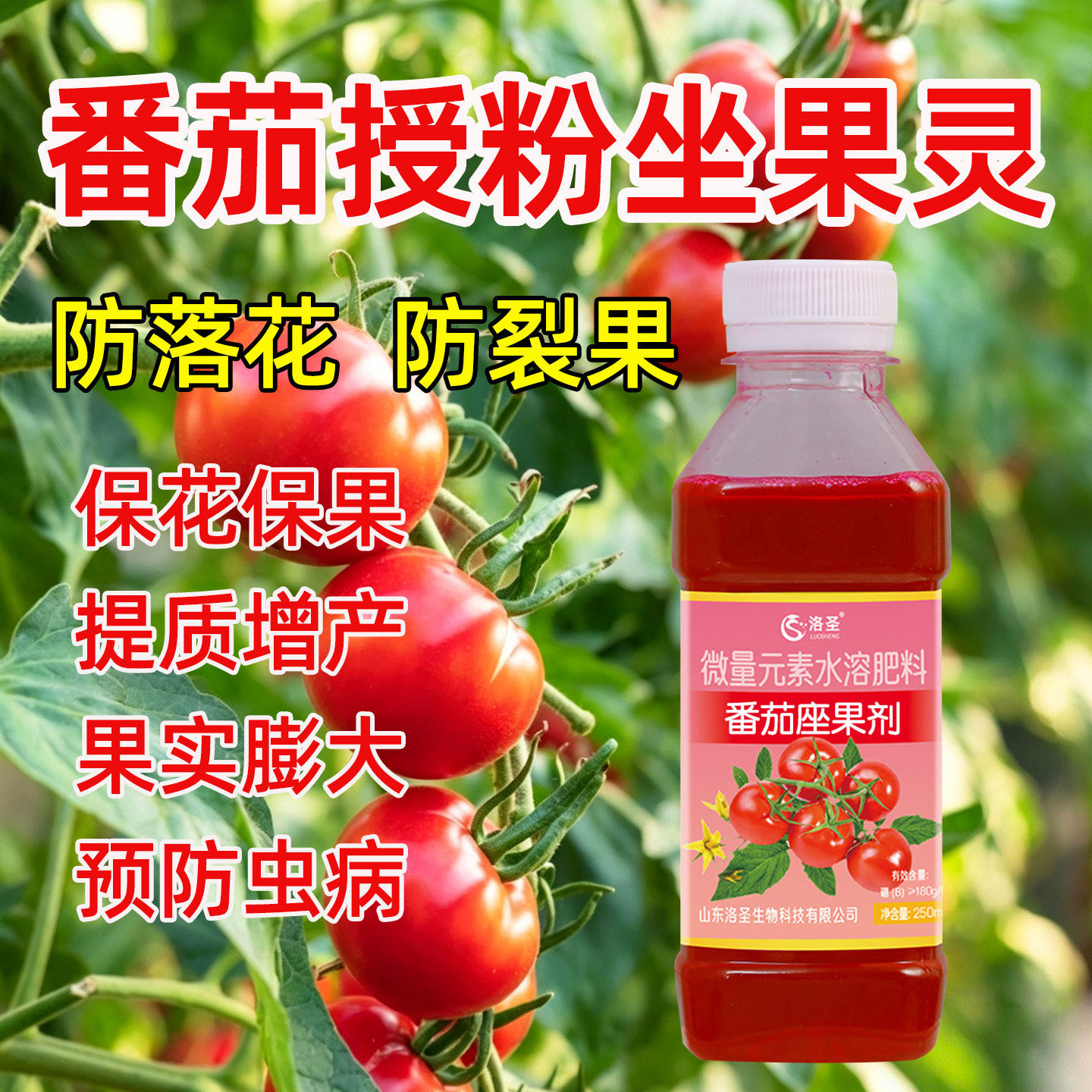 番茄专用坐果灵西红柿点花药授粉沾花座果灵喷花保花保果人工水剂
