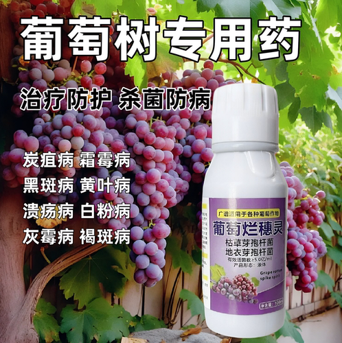 葡萄树专用药黄化卷叶枯萎霜霉