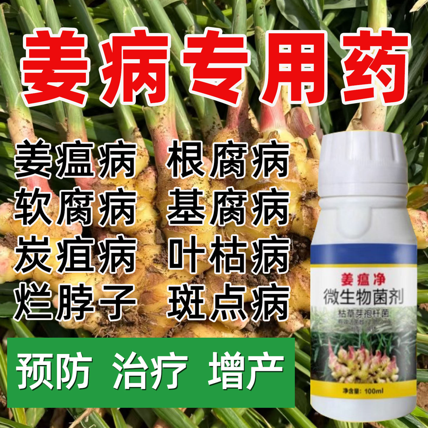 姜瘟净温清灵生姜大姜老姜预防病专用膨大杀菌剂一喷净微生物菌剂