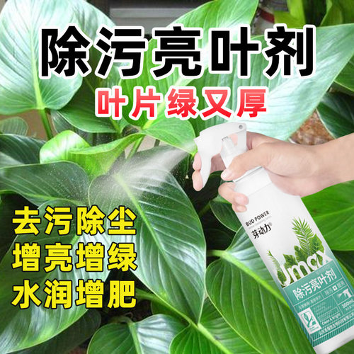 除污亮叶剂叶片面花卉一喷净植物增亮花卉绿植通用增绿去污光亮剂