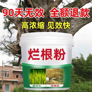 灭树粉烂根剂专用药除草烂树根灌木烂根粉快速除根粉枯死高浓缩针