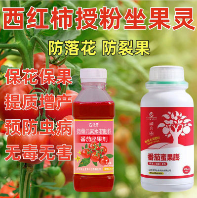 西红柿专用坐果灵小番茄点花喷花授粉座果保花保果落果增产防裂药
