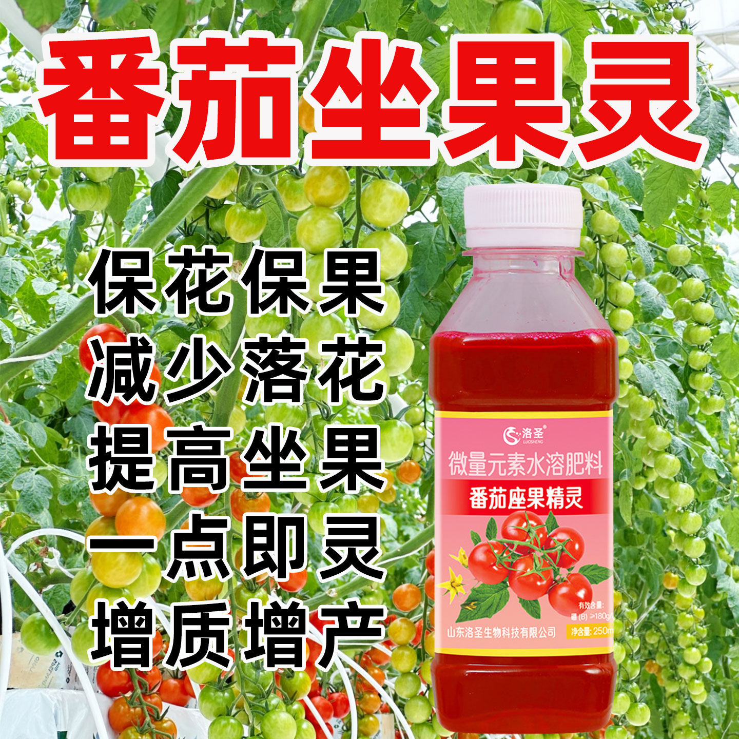 西红柿专用坐果灵小番茄点花喷花授粉座果保花保果落果增产防裂药,鲜花速递/花卉仿真/绿植园艺,家庭园艺肥料,淘宝优惠券,粉丝福利购,淘宝优惠卷