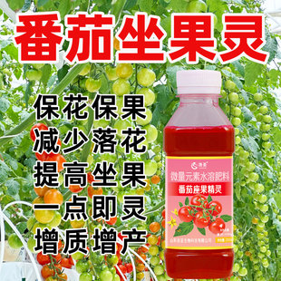 西红柿专用坐果灵小番茄点花喷花授粉座果保花保果落果增产防裂药