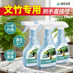 【四季爆芽】文竹专用肥营养液治叶子发黄枯瘦干尖烂根落叶促生长